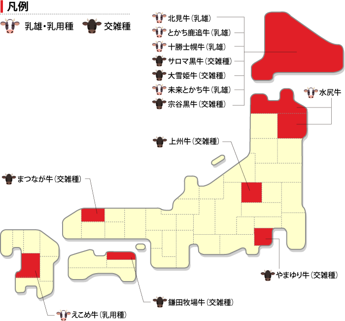 国産交雑牛（分布図）